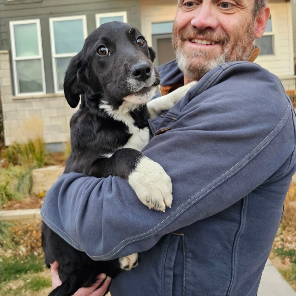 Meet your Posher, Matt